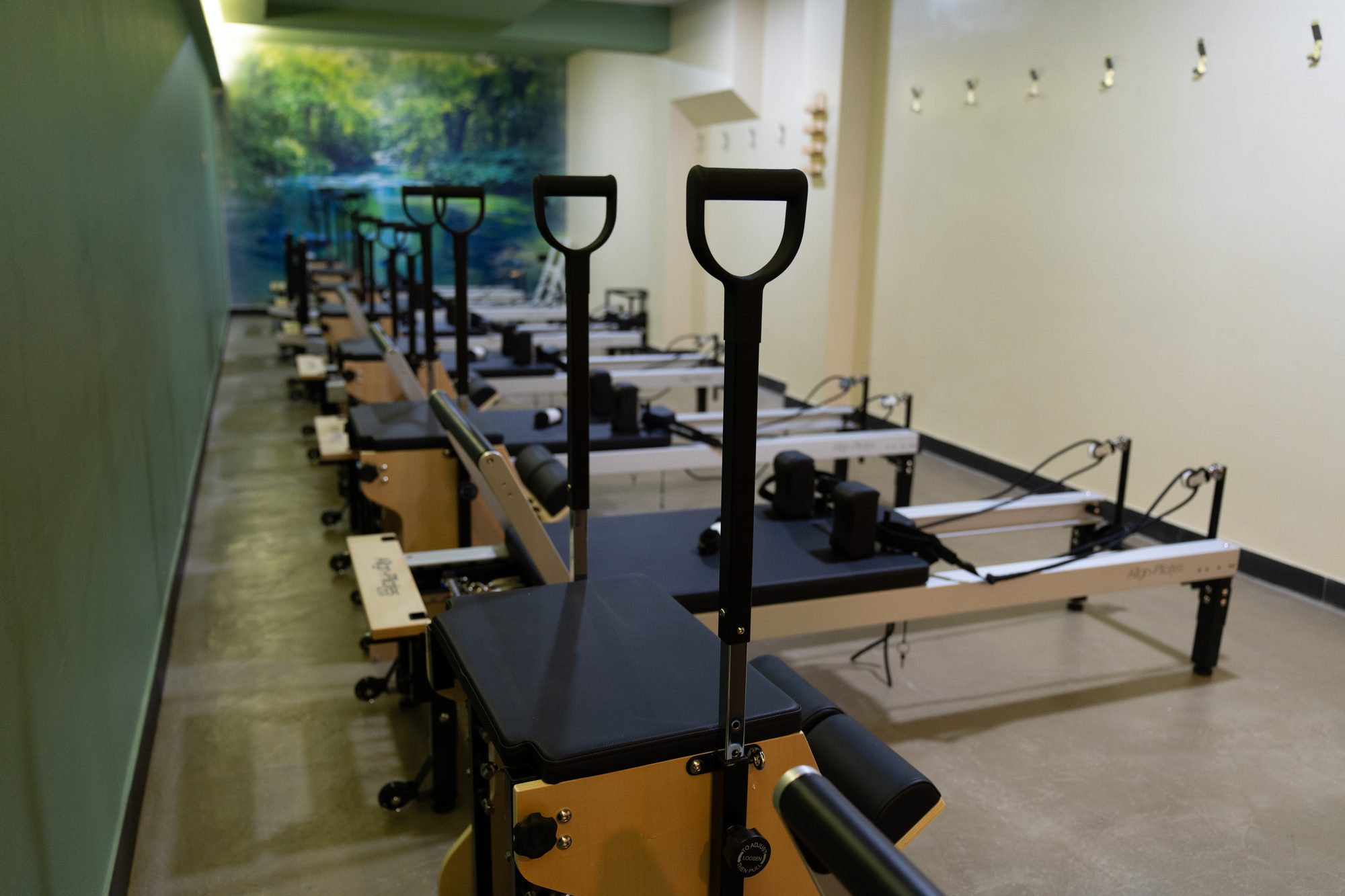 Sala Reformer Passion Fitness