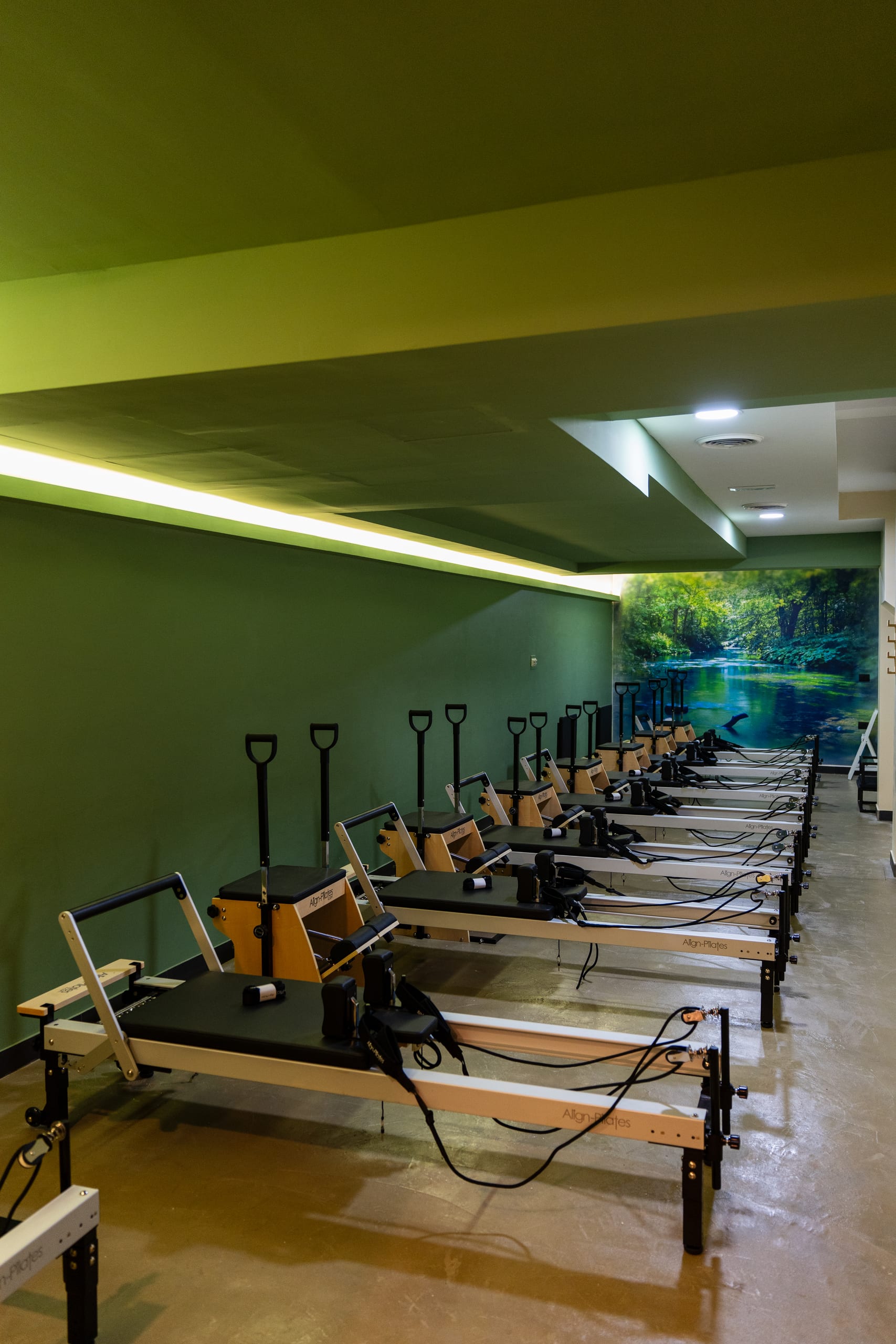 Studio Pilates Reformer